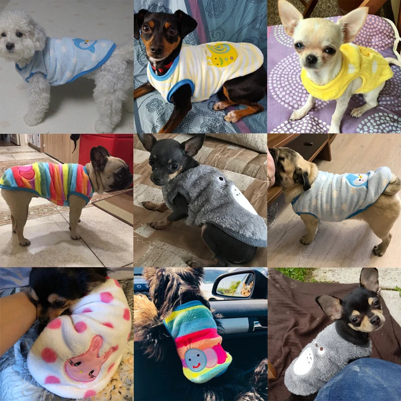 Pet Clothing for Small Dog