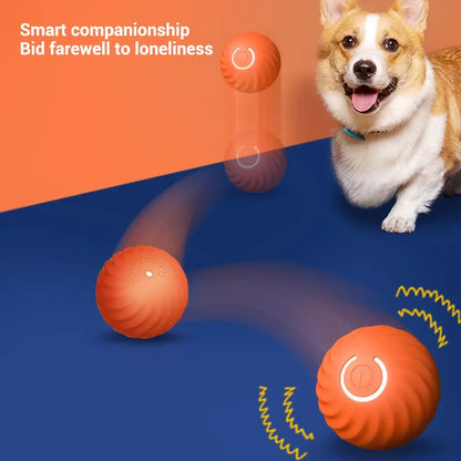 Automatic Moving Pet  Smart Ball