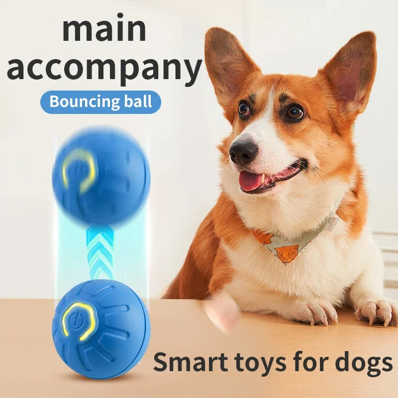 Electronic Interactive Pet Ball Toy