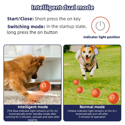 Electronic Interactive Pet Ball Toy