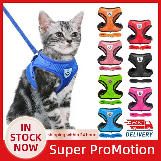 Vest Walking Lead Leash Harness