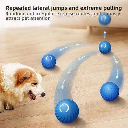 Electronic Interactive Pet Ball Toy