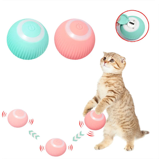 Interactive Cat Ball Toys