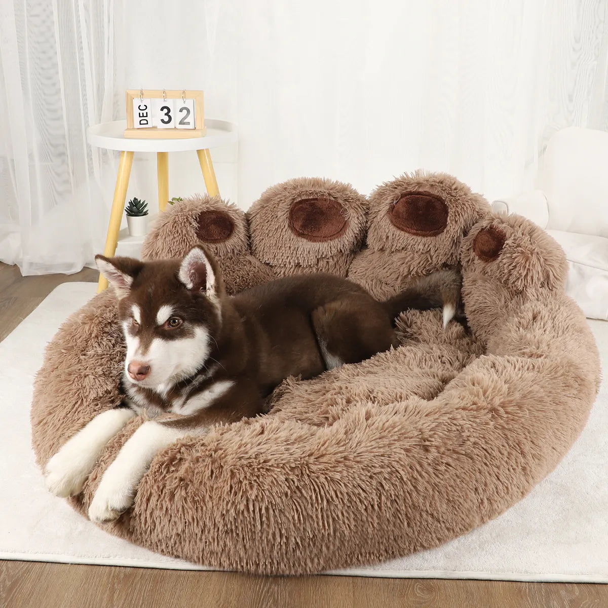 Pet Sofa Beds for Small Dogs