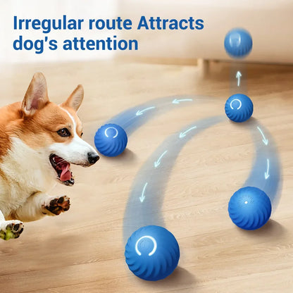 Automatic Moving Pet  Smart Ball