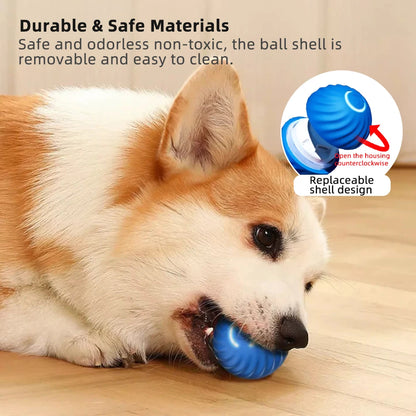 Electronic Interactive Pet Ball Toy